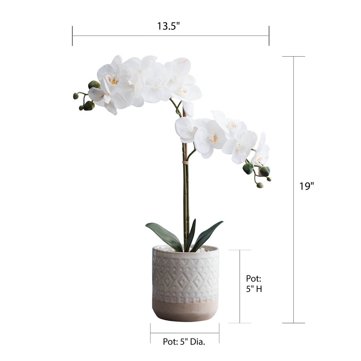 Primrue Orchid Floral Centerpiece In Pot Reviews Wayfair